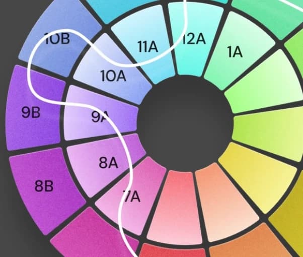 How can you move through the circle of fifths